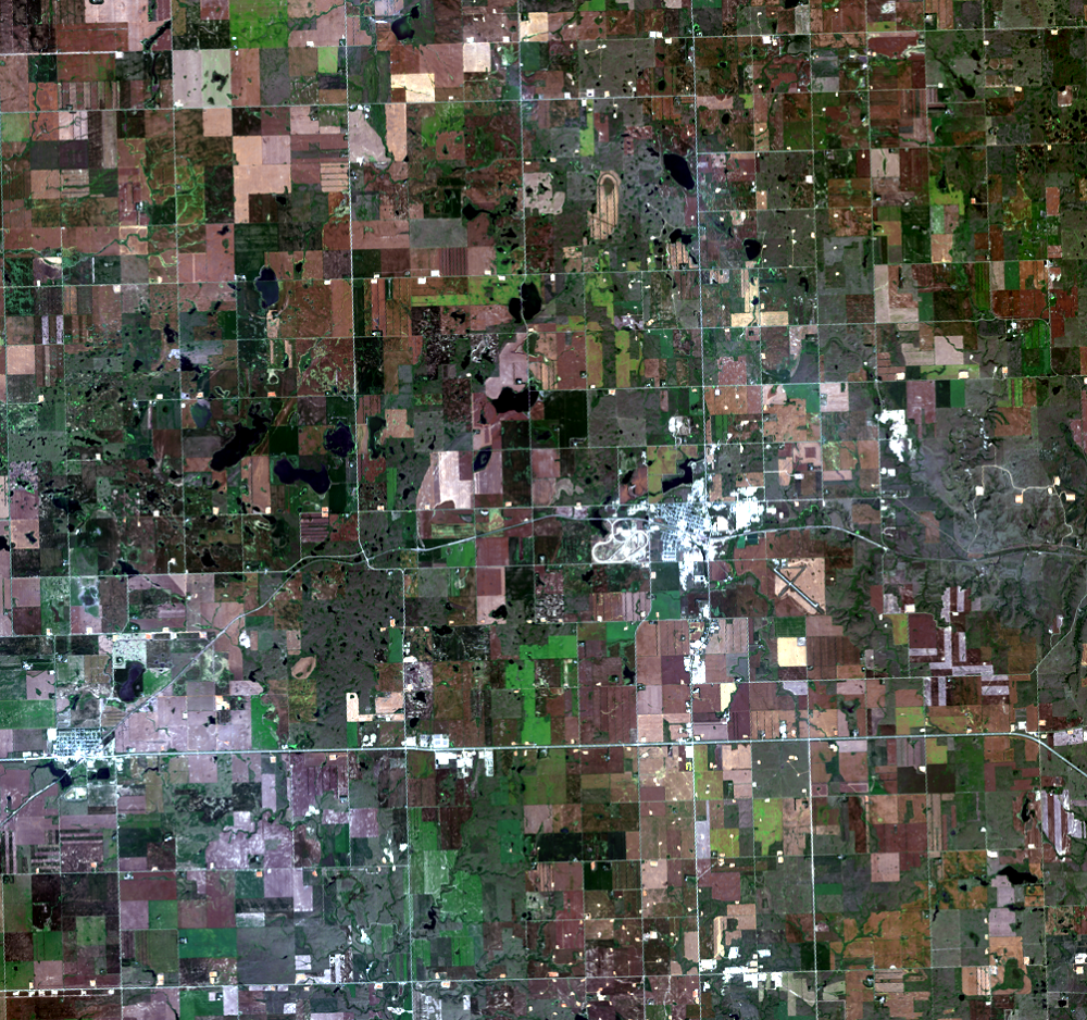 Aug. 19, 2014, Landsat 8 (path/row 34/26) — Tioga, North Dakota, USA