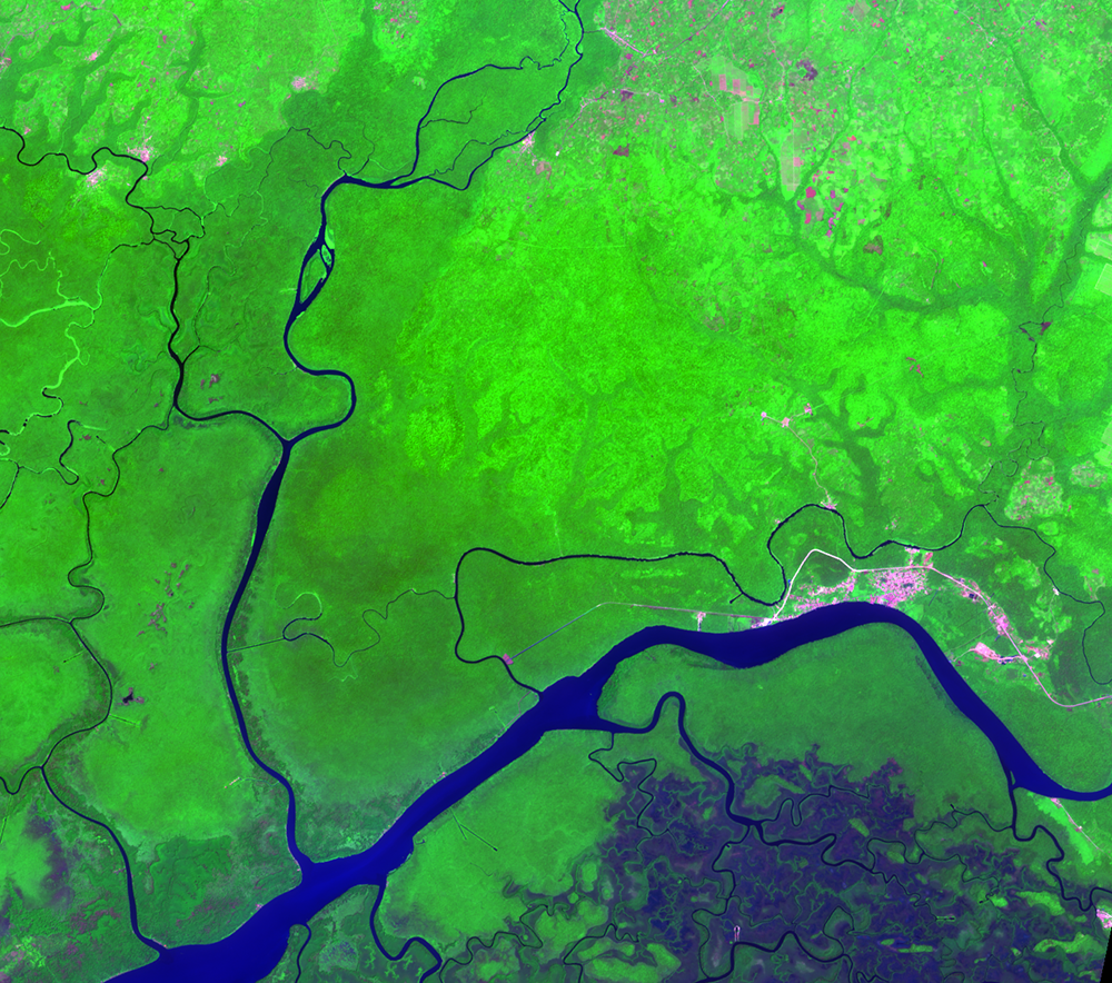 Jan. 15, 2015, Landsat 8 (path/row 190/56) — Gilli Gilli Forest Reserve, Nigeria