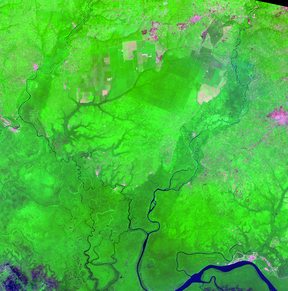 Jan. 15, 2015, Landsat 8 (path/row 190/56) — Okomu Forest Reserve and Okomu National Park, Nigeria
