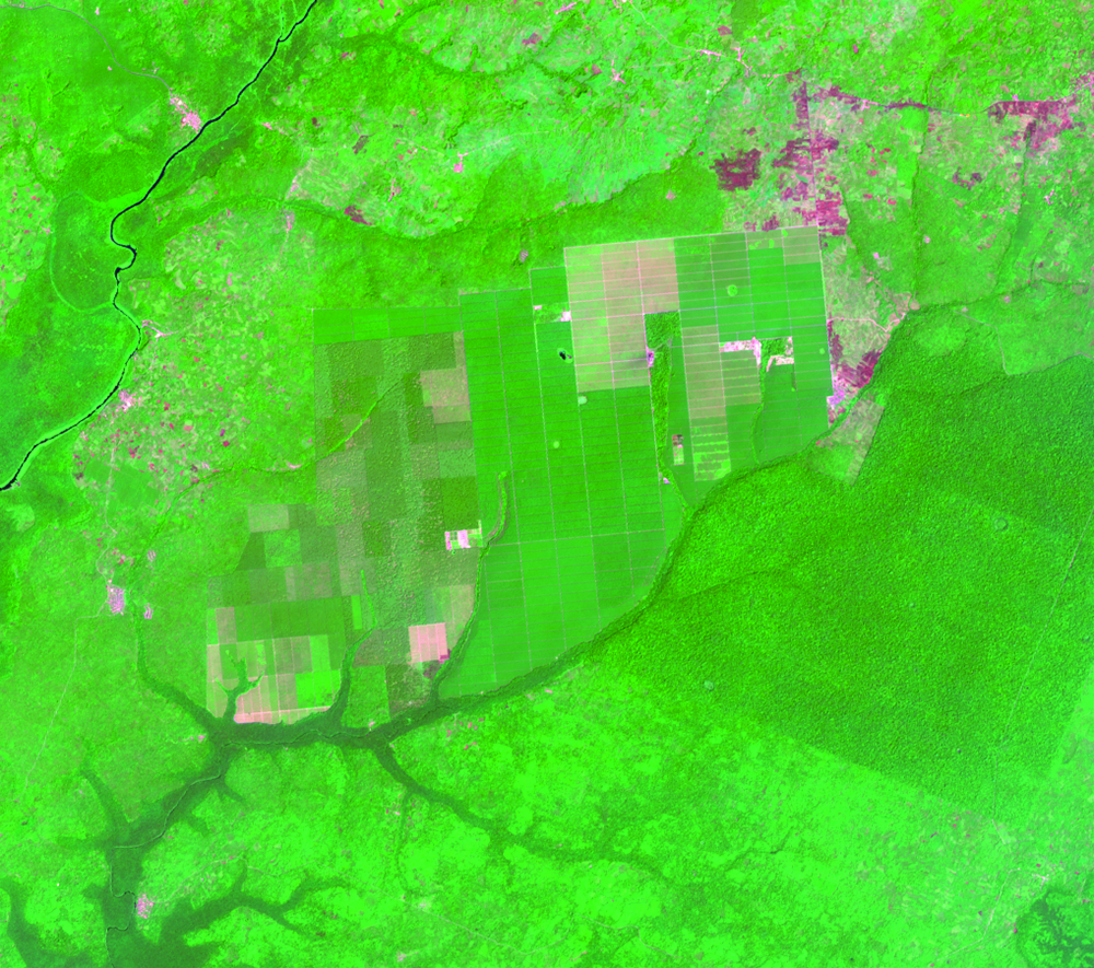 Jan. 15, 2015, Landsat 8 (path/row 190/56) — Okomu Forest Reserve, Nigeria