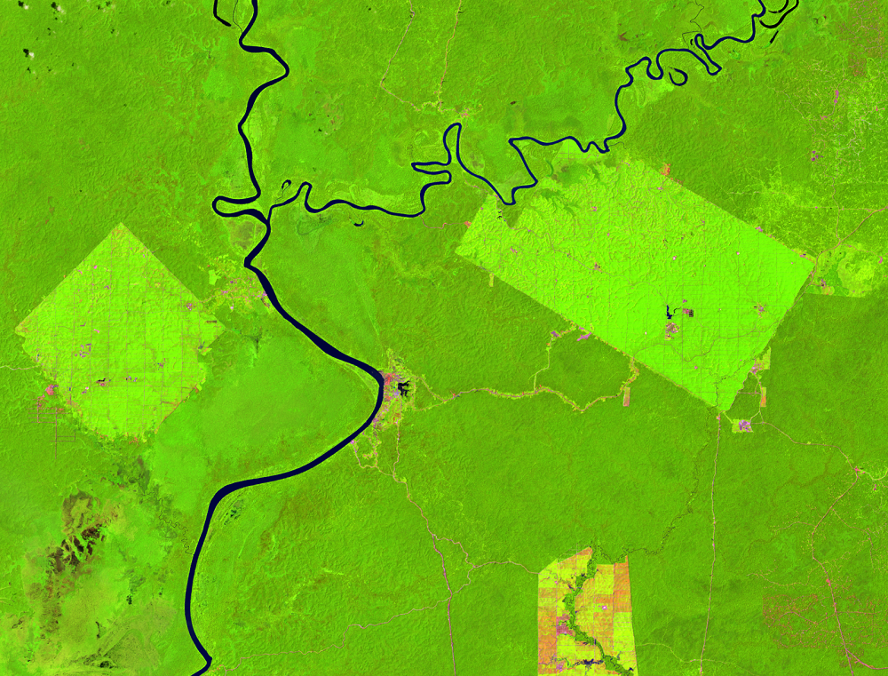 Jan. 25, 2015, Landsat 8 (path/row 100/65) — Location of palm oil plantations, Papua, Indonesia
