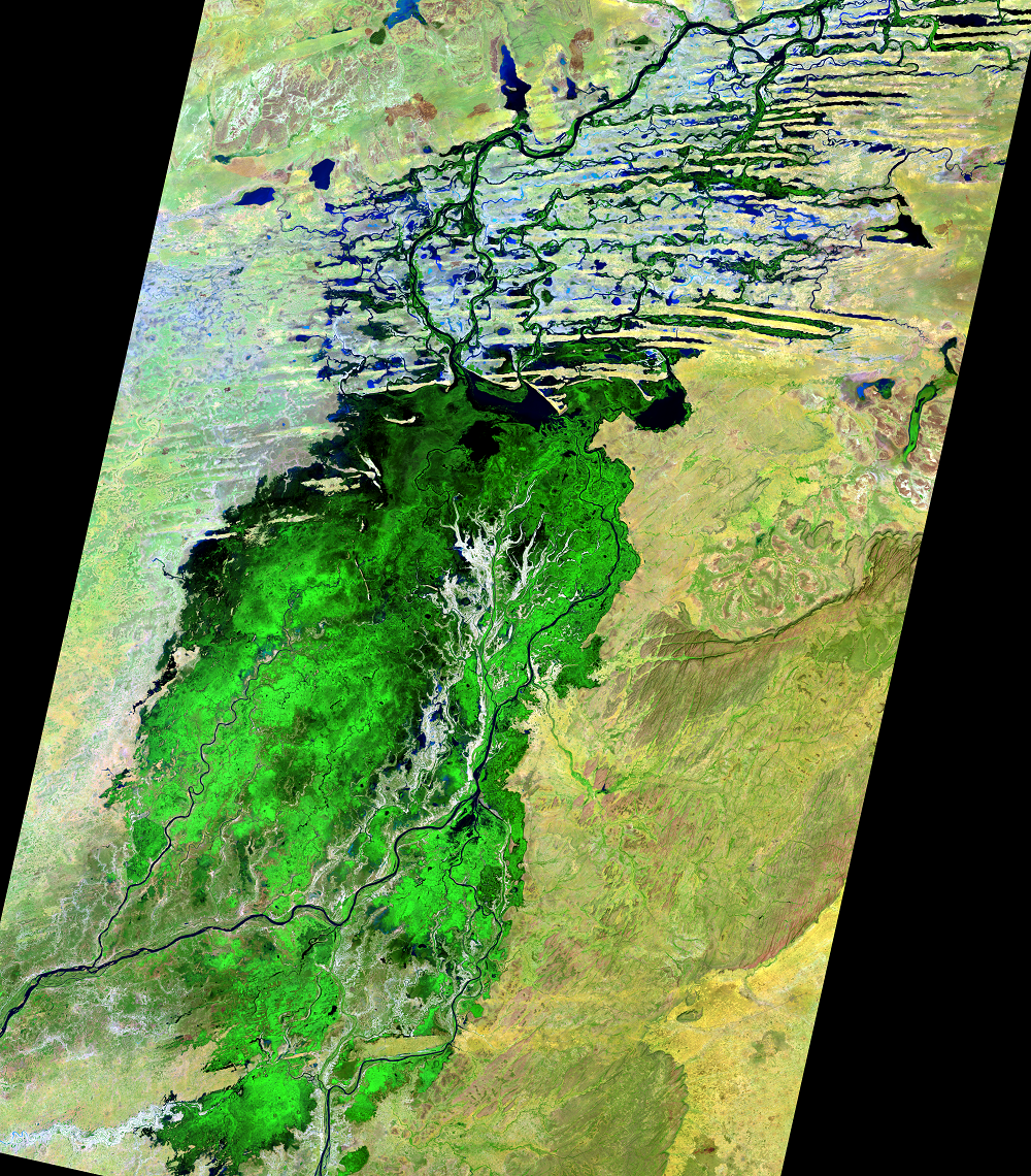 Nov. 27, 2019, Landsat 8 (path/row 197/49,50) — Annual change on the Niger River Inland Delta, Mali