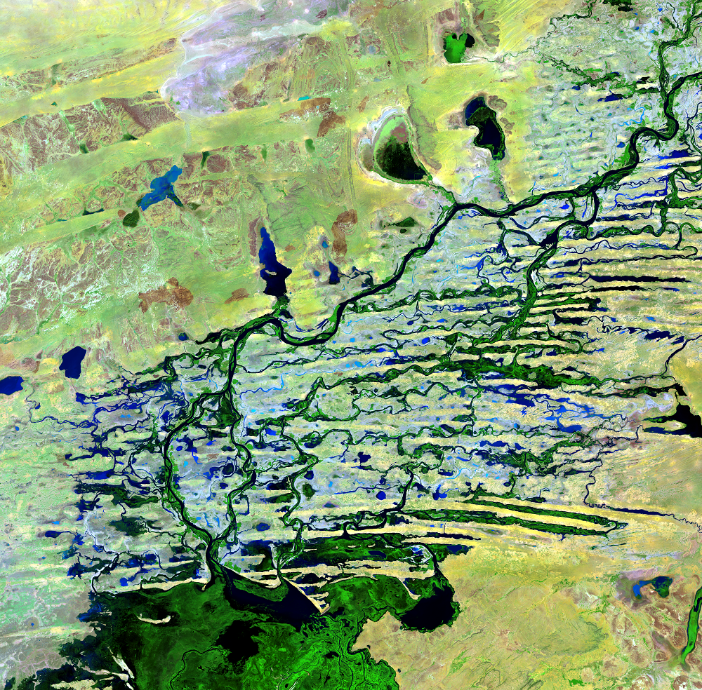 Nov. 27, 2019, Landsat 8 (path/row 197/49) — Northern Niger River Inland Delta, Mali