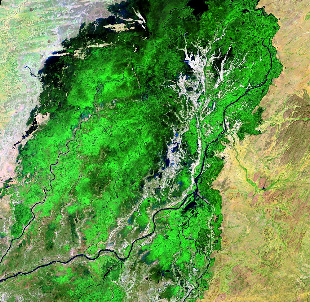 Nov. 27, 2019, Landsat 8 (path/row 197/50) — Southern Niger River Inland Delta, Mali