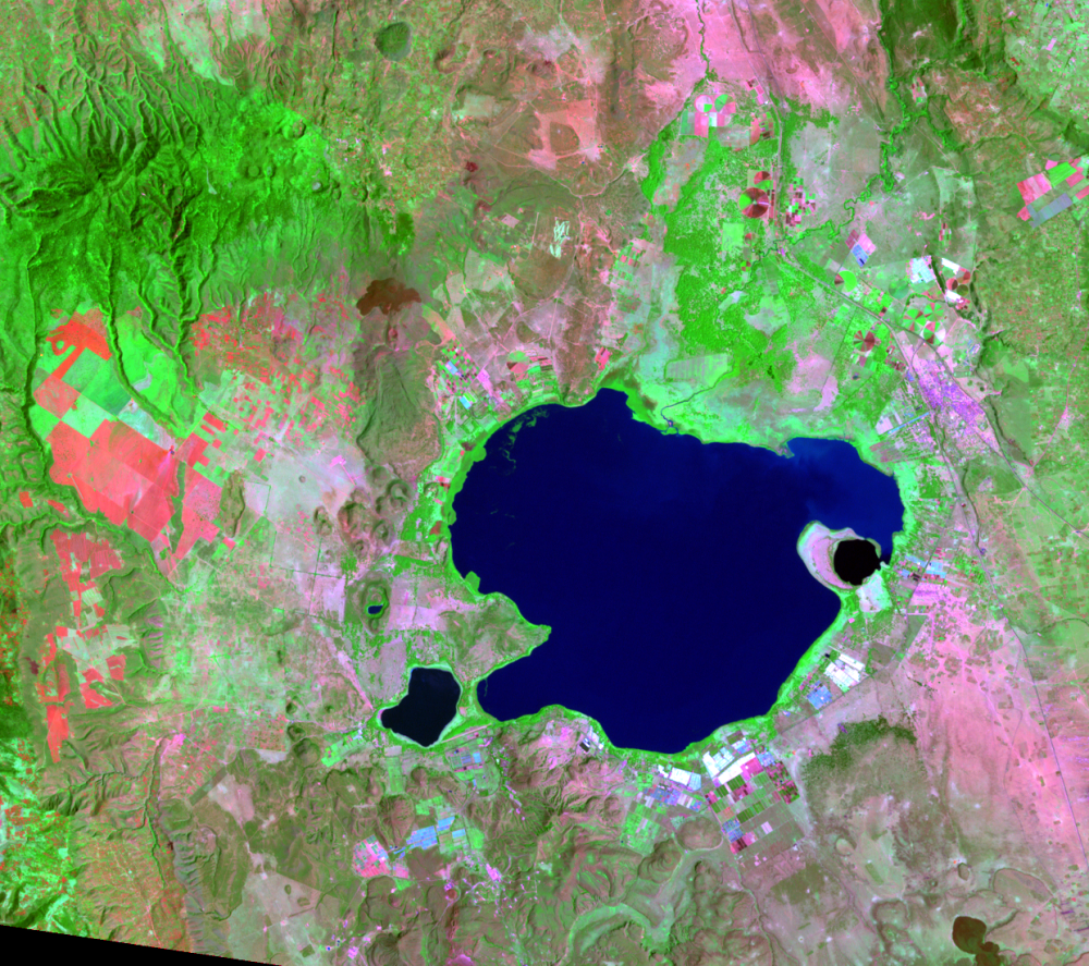 Feb. 4, 2003, Landsat 7 (path/row 169/60) — Lake Naivasha, Kenya