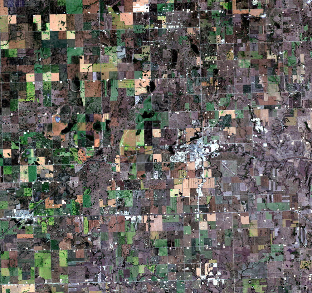 July 26, 2017, Landsat 8 (path/row 34/26) — Tioga, North Dakota, USA