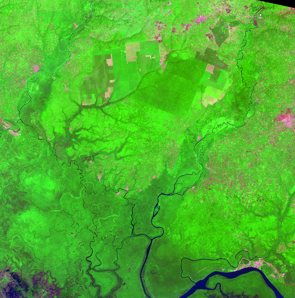 Jan. 2, 2016, Landsat 8 (path/row 190/56) — Okomu Forest Reserve and Okomu National Park, Nigeria