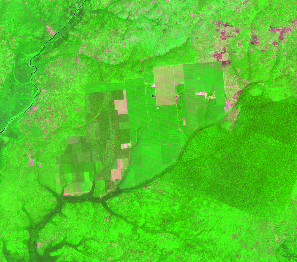 Jan. 2, 2016, Landsat 8 (path/row 190/56) — Okomu Forest Reserve, Nigeria