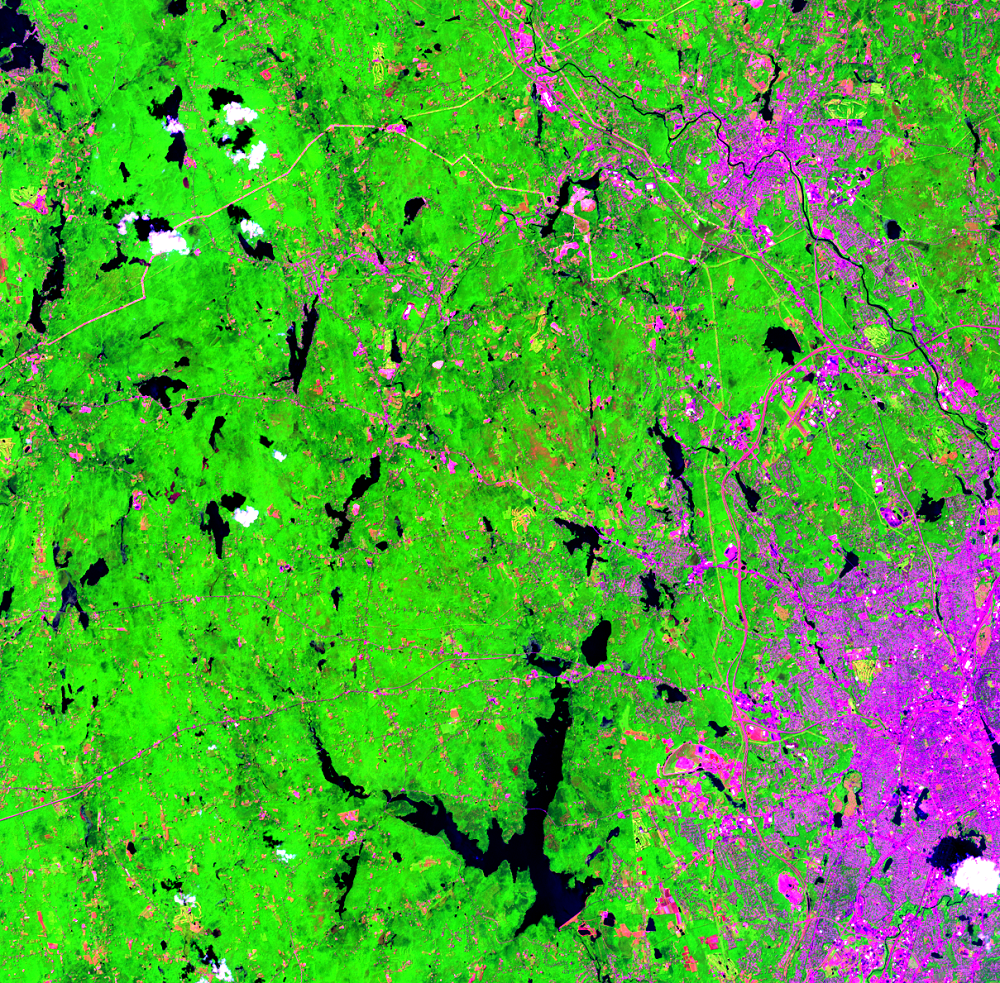 July 11, 2015, Landsat 8 (path/row 12/31) — gypsy moth infestation near Providence, RI, USA