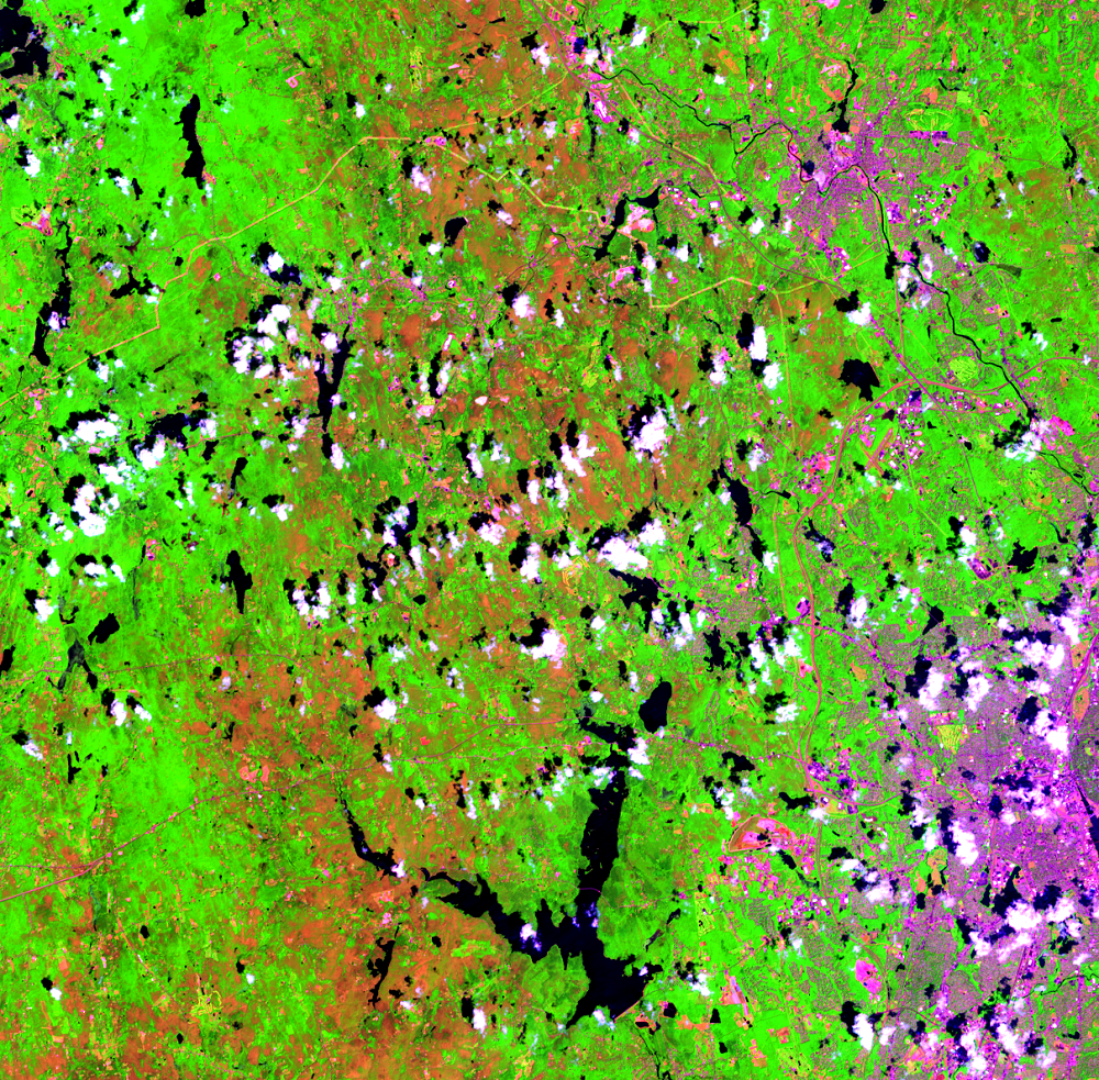 July 13, 2016, Landsat 8 (path/row 12/31) — gypsy moth infestation near Providence, RI, USA