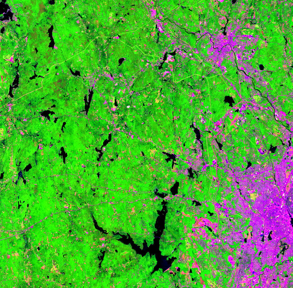 July 19, 2018, Landsat 8 (path/row 12/31) — gypsy moth infestation near Providence, RI, USA