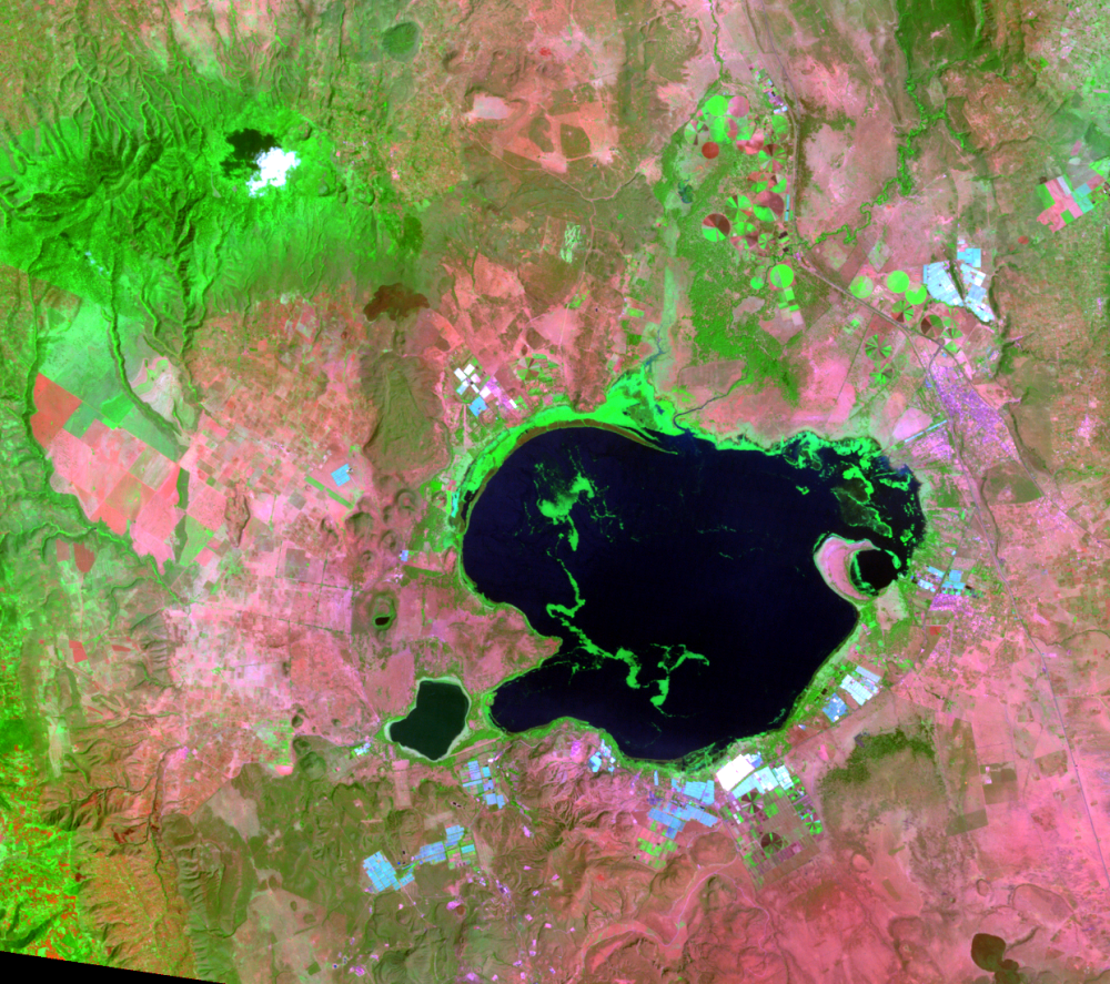 Jan. 1, 2011, Landsat 5 (path/row 169/60) — Lake Naivasha, Kenya