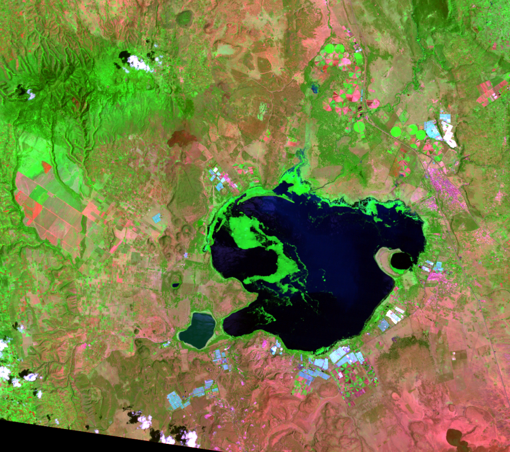 Nov. 1, 2011, Landsat 5 (path/row 169/60) — Lake Naivasha, Kenya