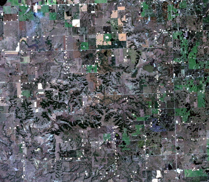 July 26, 2017, Landsat 8 (path/row 34/26) — Well pads, North Dakota, USA
