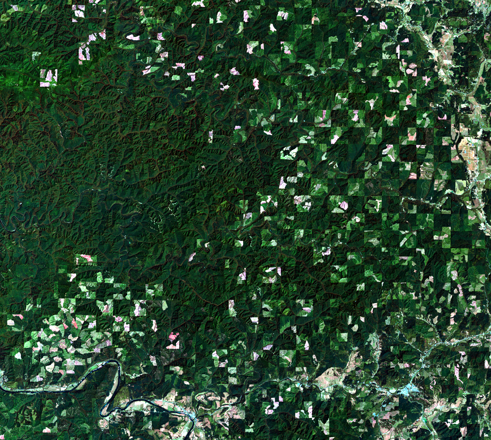 July 3, 2013, Landsat 8 (path/row 46/30) — logging patterns, OR, USA