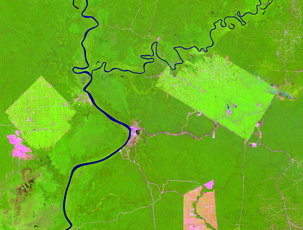 Sep. 22, 2015,  Landsat 8 (path/row 100/65) — Location of palm oil plantations, Papua, Indonesia