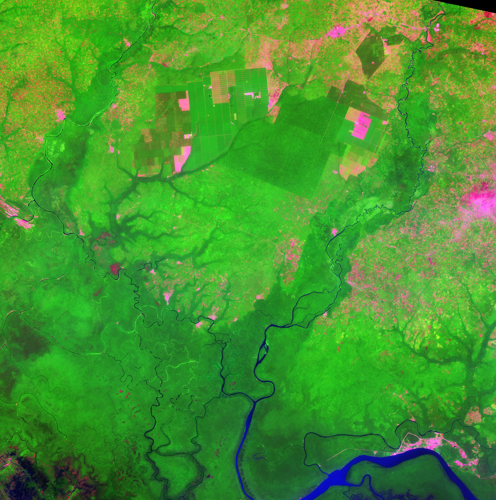 Jan. 4, 2017, Landsat 8 (path/row 190/56) — Okomu Forest Reserve and Okomu National Park, Nigeria