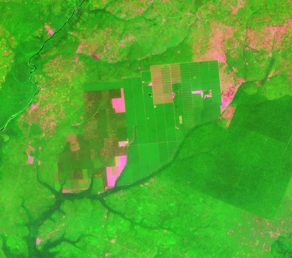Jan. 4, 2017, Landsat 8 (path/row 190/56) — Okomu Forest Reserve, Nigeria