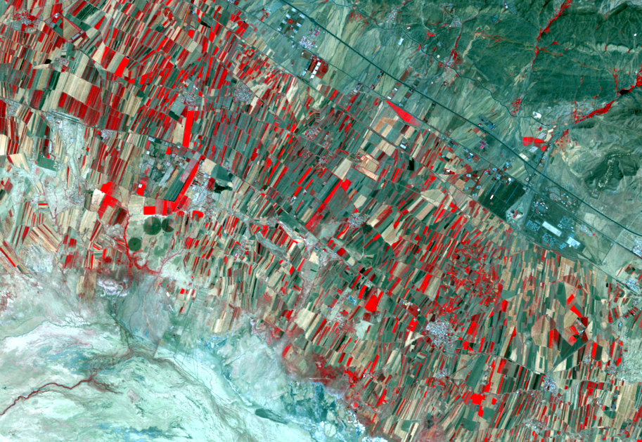 Aug. 1, 2011, Landsat 5 (path/row 165/35) — Irrigated agriculture, Iran