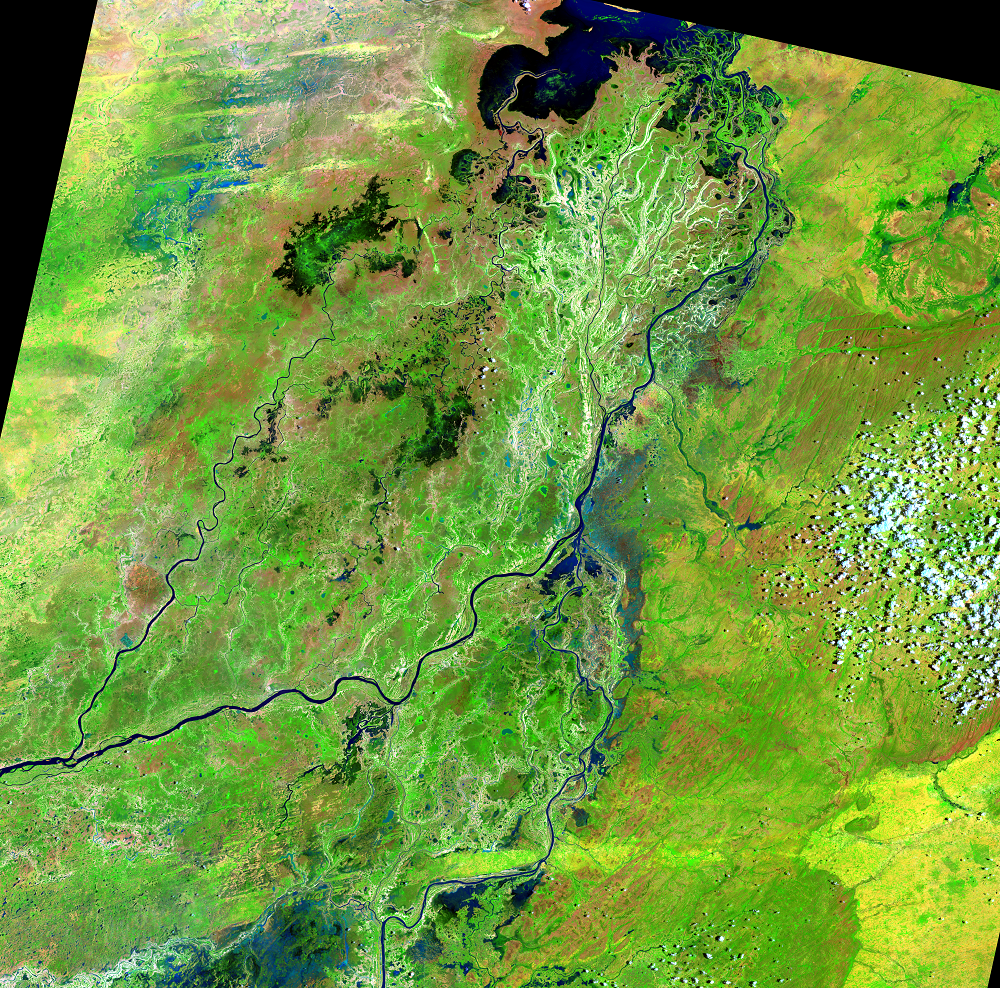 Aug. 25, 2014, Landsat 8 (path/row 197/50) — Seasonal change in the Niger River Inland Delta, Mali