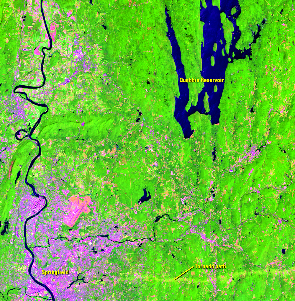 July 11, 2015, Landsat 8 (path/row 13/31) — gypsy moth infestation near Springfield, MA, USA