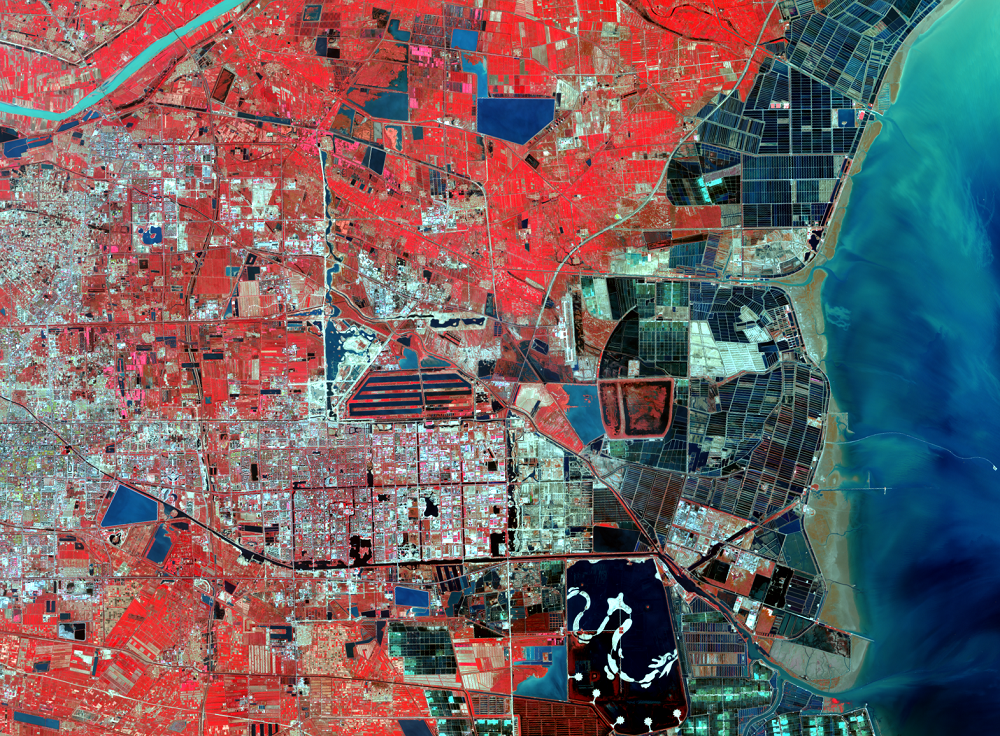 Oct. 5, 2013, Landsat 8 (path/row 121/34) — Dongying, China