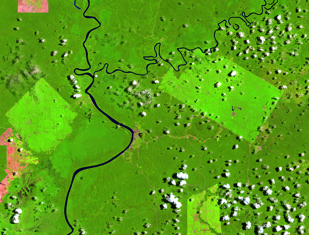 Mar. 19, 2017,  Landsat 8 (path/row 100/65) — Location of palm oil plantations, Papua, Indonesia