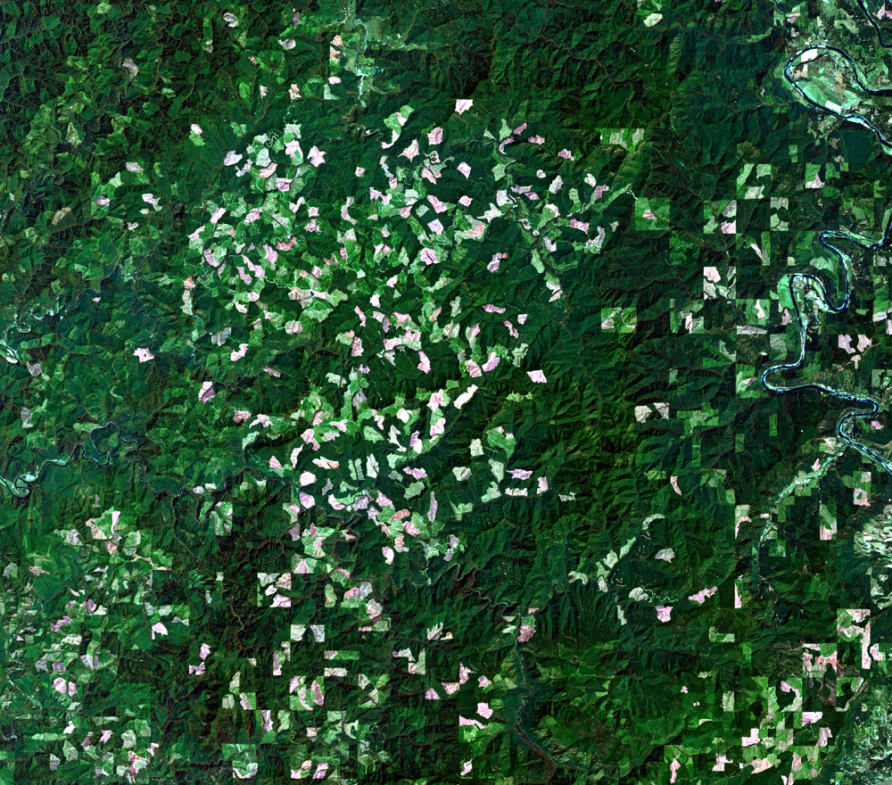 June 7, 2015, Landsat 8 (path/row 46/30) — logging patterns, OR, USA