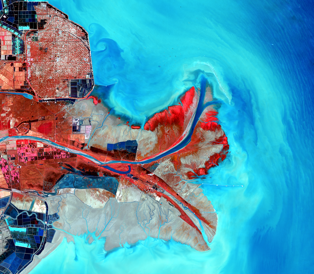 Oct. 27, 2015, Landsat 8 (path/row 121/34) — close up of the Huang He Delta, China