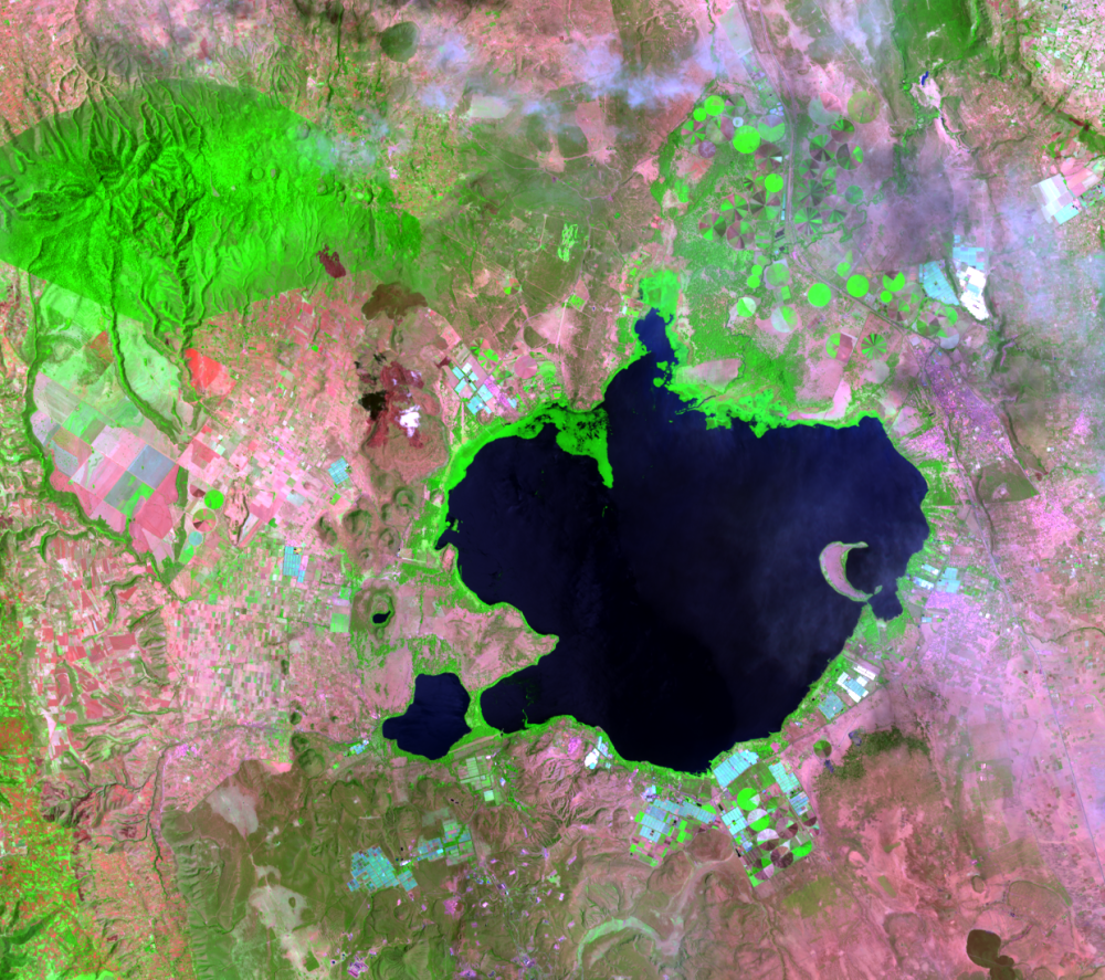 Feb. 8, 2019, Landsat 8 (path/row 169/60) — Lake Naivasha, Kenya