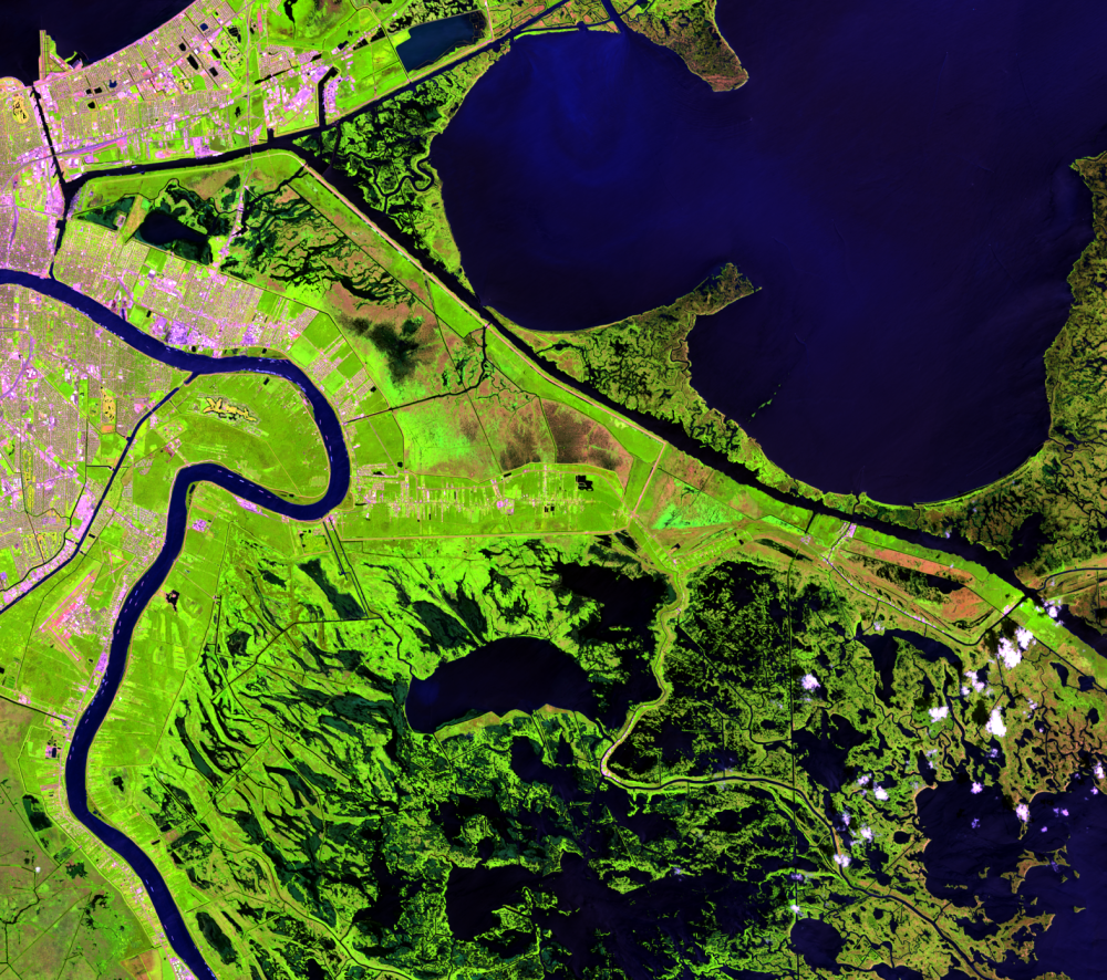 Aug. 29, 2019, Landsat 8 (path/row 22/39) — St. Bernard Parish, New Orleans