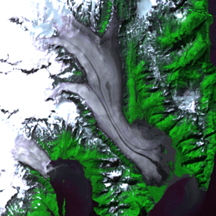 Aug. 10, 1976, Landsat 2 (path/row 74/18) — Bear Glacier, Alaska, USA