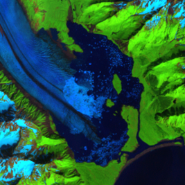 Aug. 5, 2001, Landsat 7 (path/row 68/18) — Bear Glacier Lagoon, Alaska, USA
