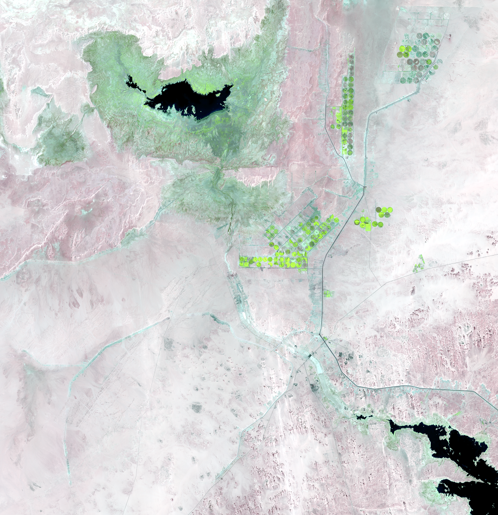 Aug. 19 and 28, 2013, Landsat 8 (path/row 175,176/44) — close-up of irrigated fields near the Toshka Lakes, Egypt