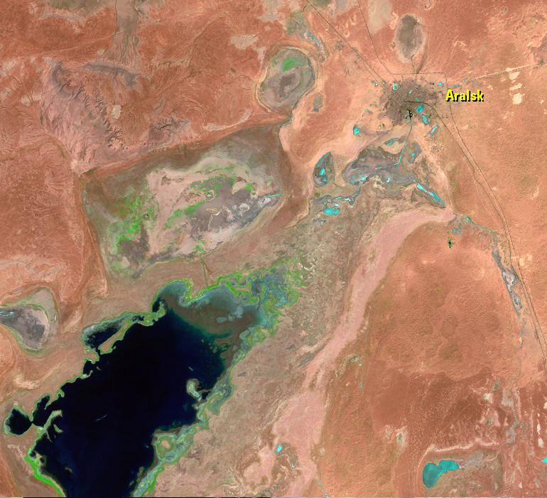 July, 31; Aug. 23, 30; Sep. 1, 2006, Landsat 5 (path/row 160–162/27–30) — Aralsk, Kazakhstan