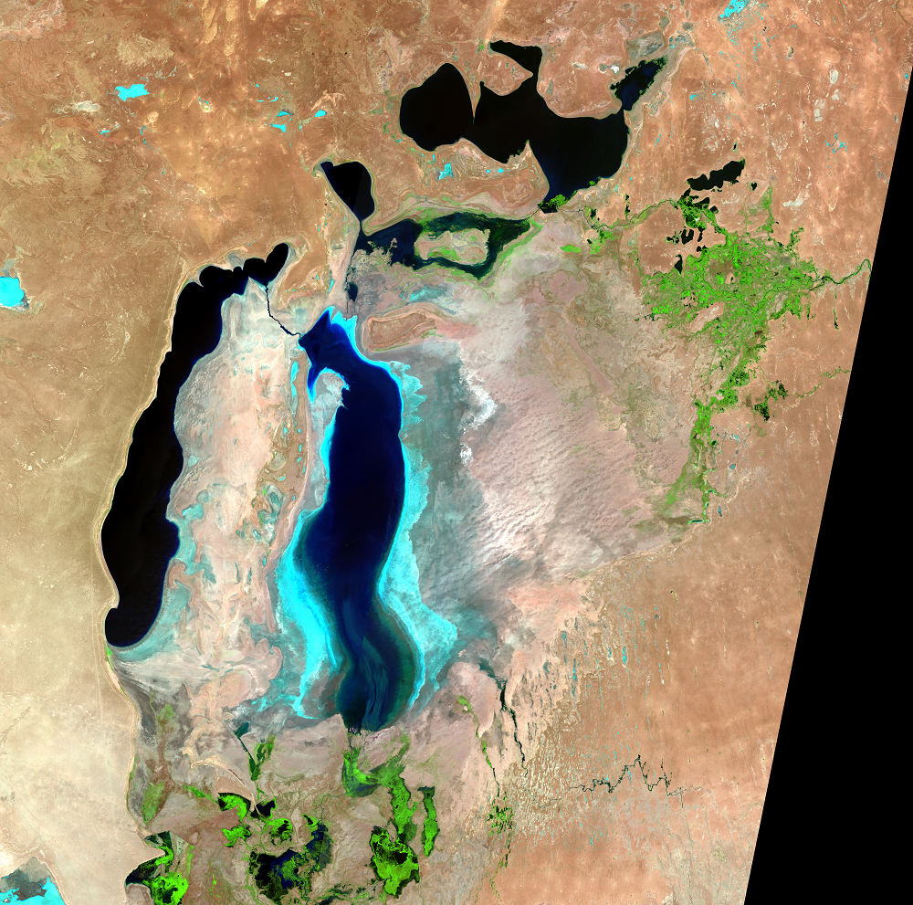 July, 24; Aug. 2, 11, 2010, Landsat 5 (path/row 160–162/27–30) — Aral Sea