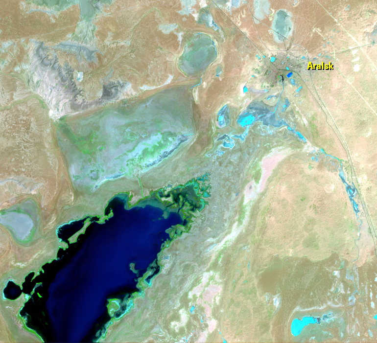 Aug. 18, 20, 27, 2019, Landsat 8 (path/row 160–162/27–30) — Aralsk, Kazakhstan