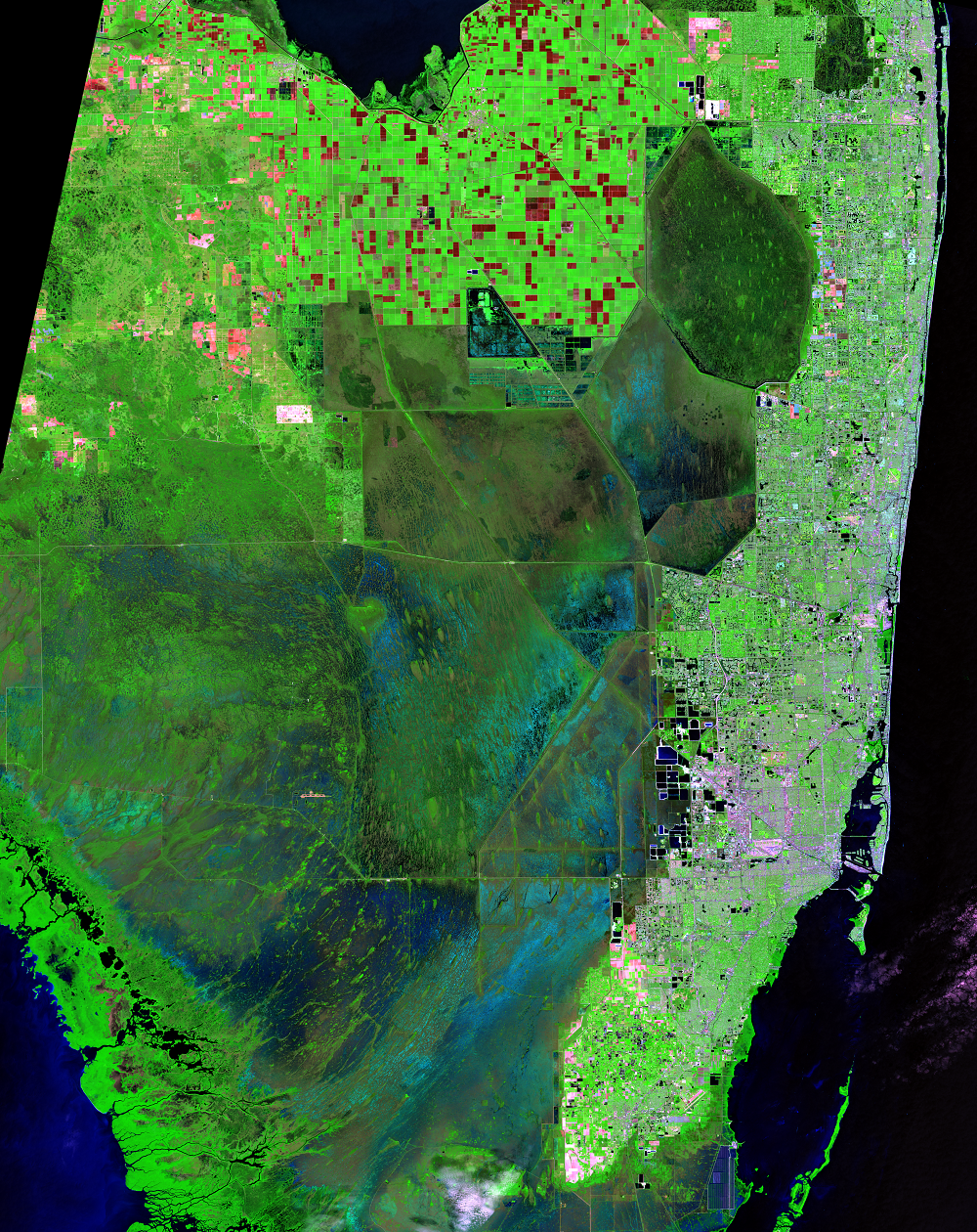 Oct. 22, 2016, Landsat 8 (path/row 15/42) — The Everglades and Miami, Florida, USA