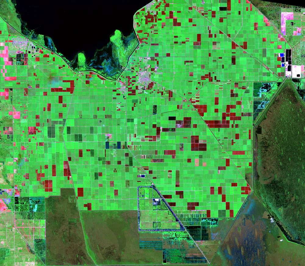 Oct. 3, 2009, Landsat 5 (path/row 15/42) — Everglades Agricultural Area and Stormwater Treatment Areas, Florida, USA