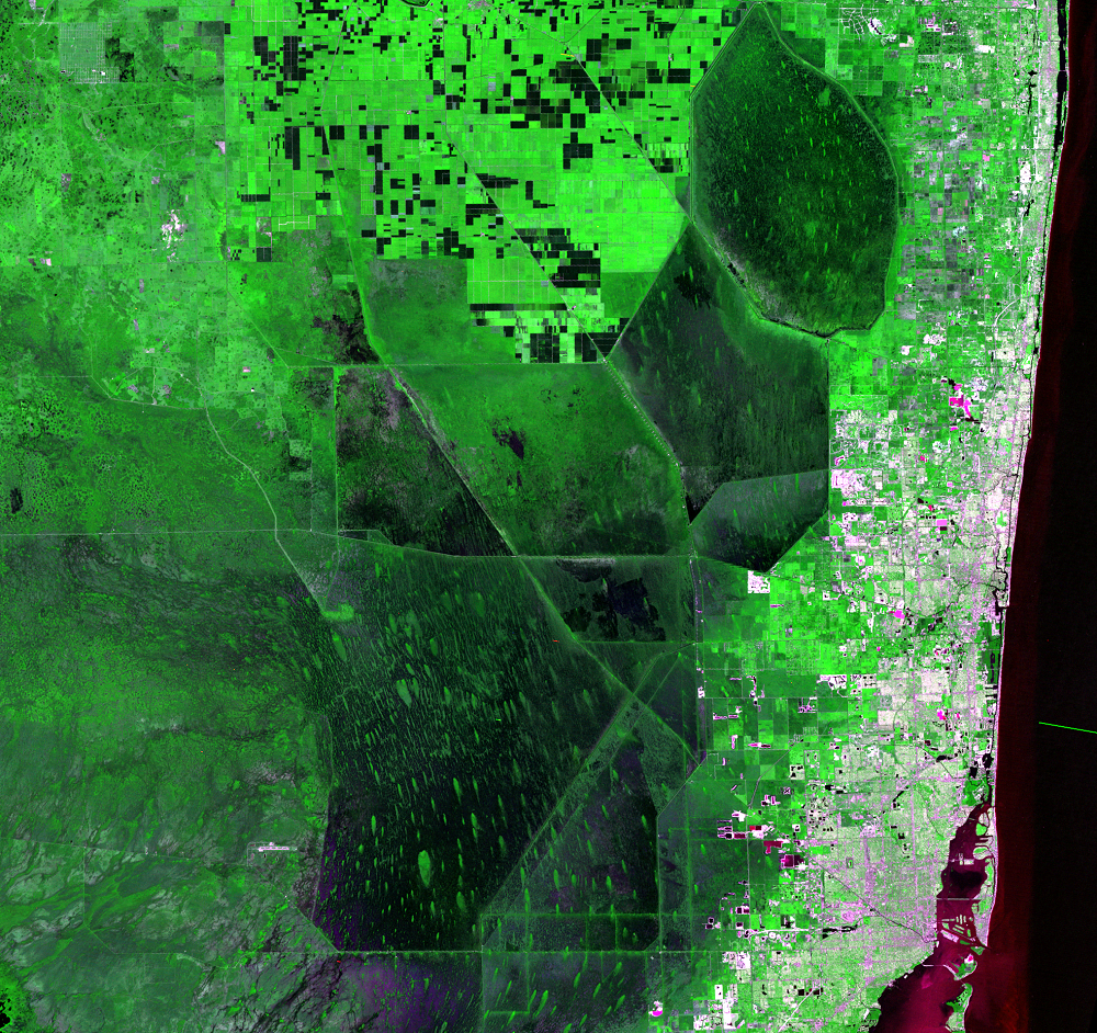 Oct. 19, 1974, Landsat 1 (path/row 16/42) — Canal and levee system, Everglades, Florida, USA