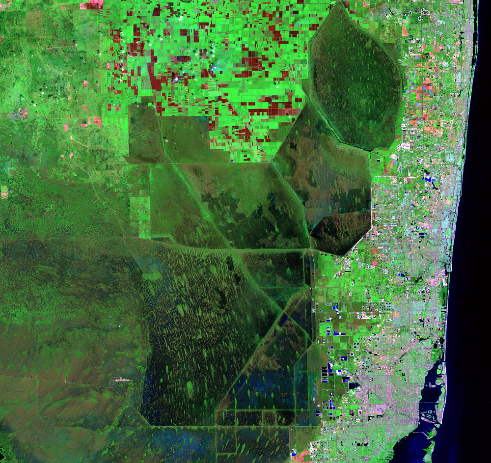 Nov. 2, 1985, Landsat 5 (path/row 15/42) — Canal and levee system, Everglades, Florida, USA