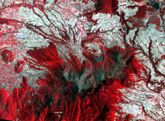 Apr. 21, 2000, Landsat 5 (path/row 27/46) — Pelon site, Monarch Butterfly Biosphere Reserve, Mexico