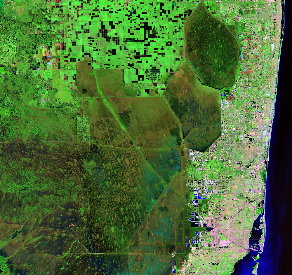 Nov. 6, 1998, Landsat 5 (path/row 15/42) — Canal and levee system, Everglades, Florida, USA