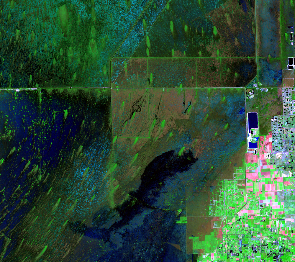 Nov. 17, 2008, Landsat 5 (path/row 15/42) — Tree islands in the Everglades, Florida, USA