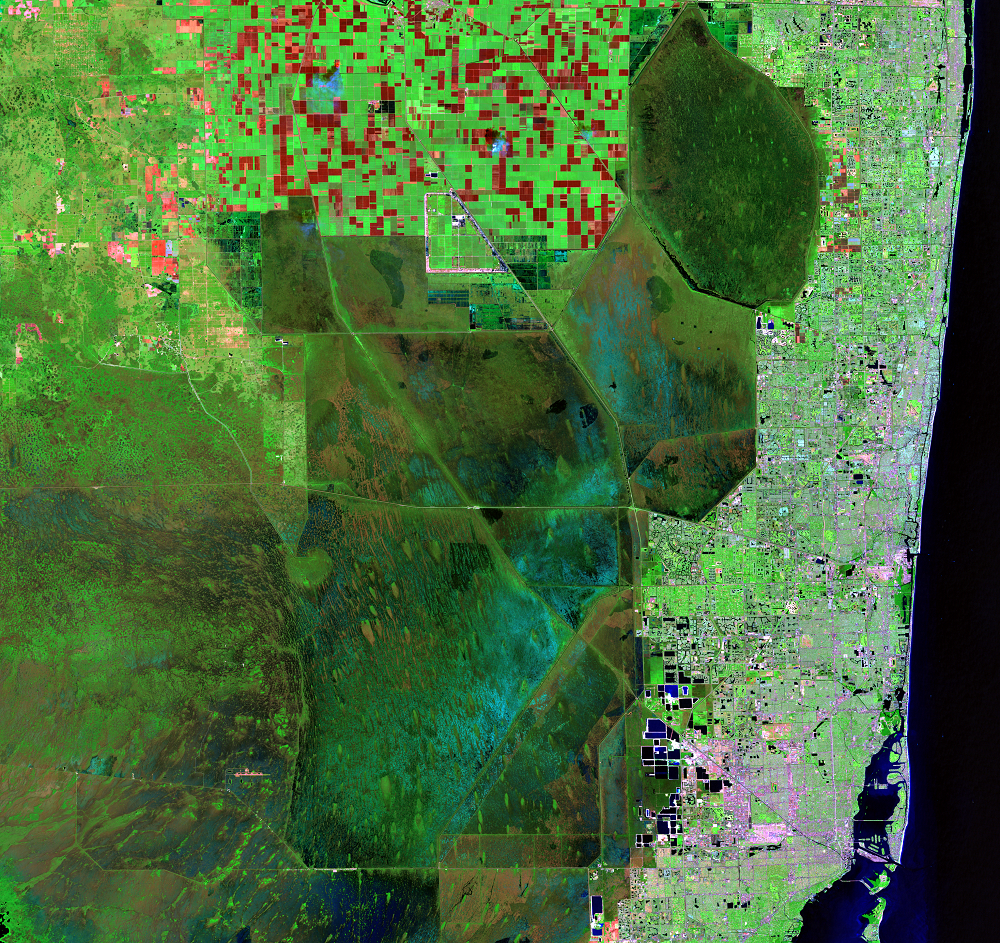 Nov. 17, 2008, Landsat 5 (path/row 15/42) — Canal and levee system, Everglades, Florida, USA