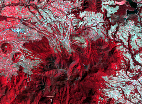 Mar. 11, 2014, Landsat 8 (path/row 27/46) — Pelon site, Monarch Butterfly Biosphere Reserve, Mexico