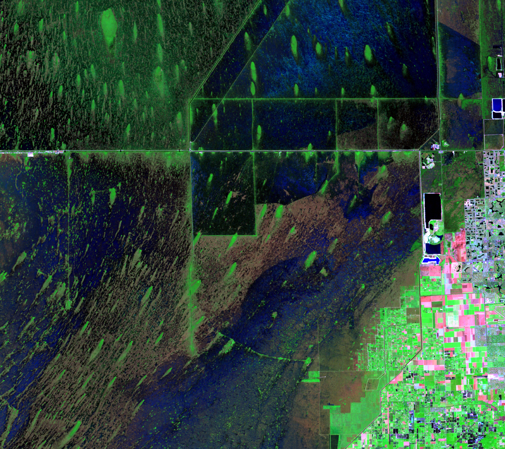 Nov. 10, 2011, Landsat 5 (path/row 15/42) — Tree islands in the Everglades, Florida, USA