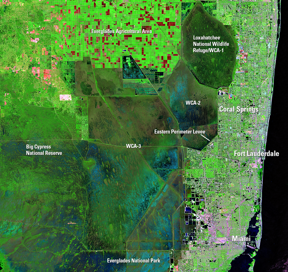 Oct. 22, 2016, Landsat 8 (path/row 15/42) — Canal and levee system, Everglades, Florida, USA