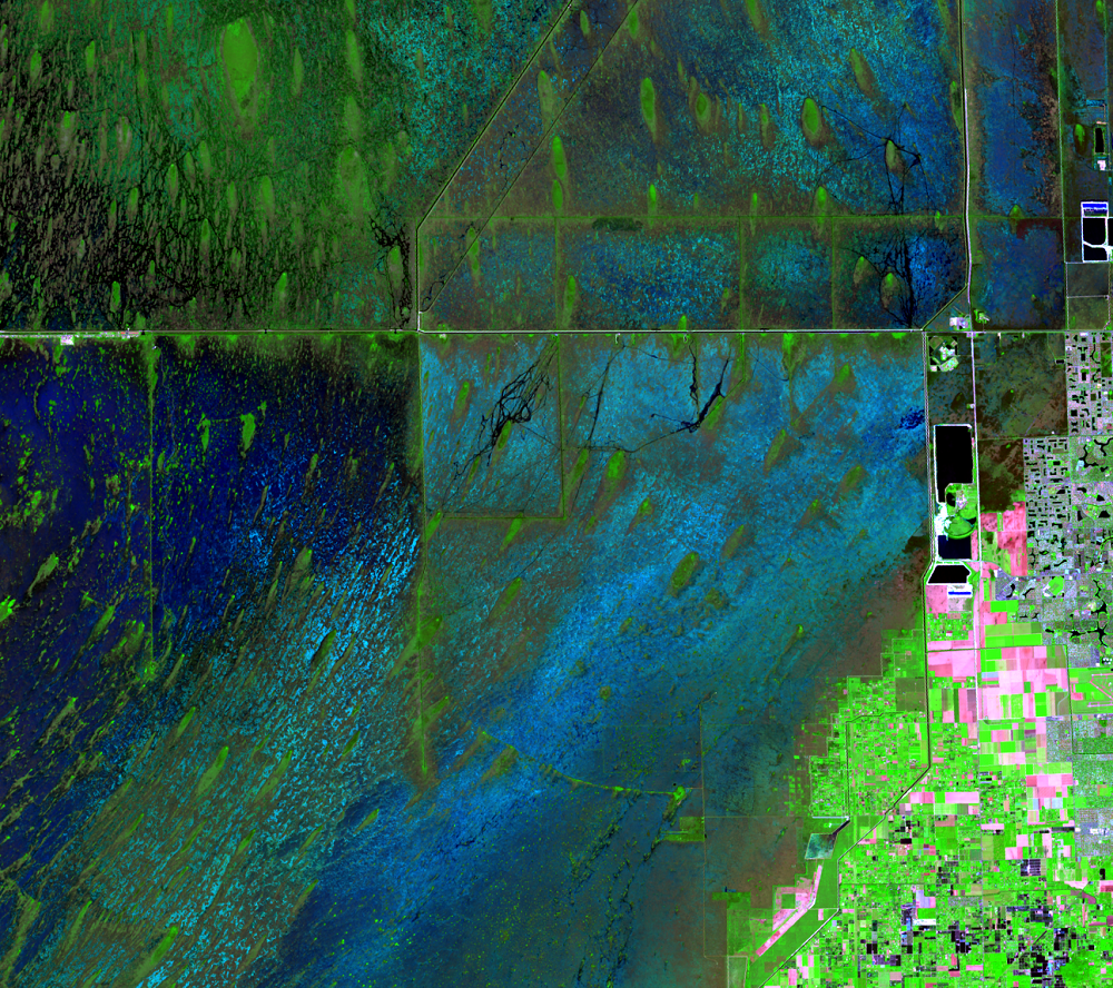 Oct. 22, 2016, Landsat 8 (path/row 15/42) — Tree islands in the Everglades, Florida, USA