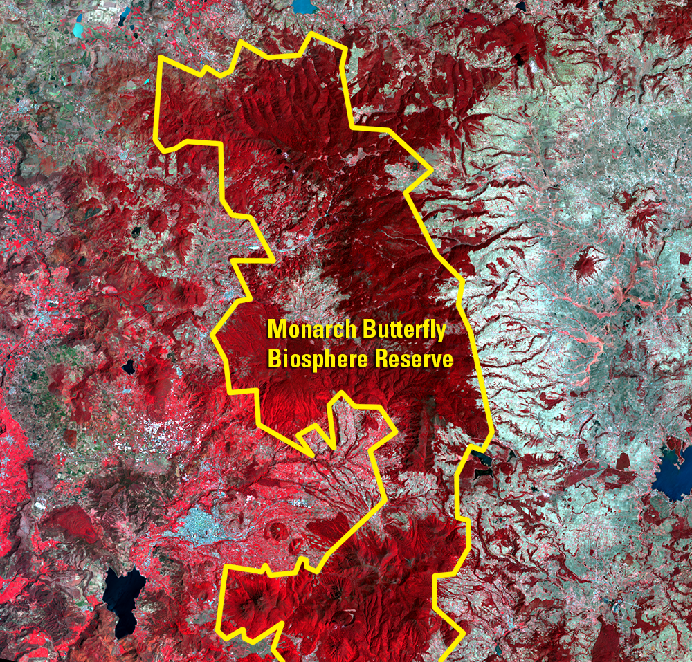 Apr. 1, 2016, Landsat 8 (path/row 27/46) — Monarch Butterfly Biosphere Reserve, Mexico